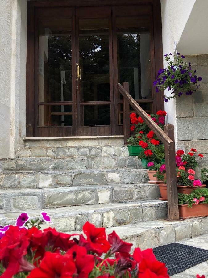 Il Balcone Delle Alpi Διαμέρισμα Oulx Εξωτερικό φωτογραφία